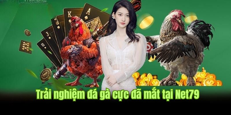 Đá gà cực chất lượng tại Net79 dưới nhiều hình thức khác nhau