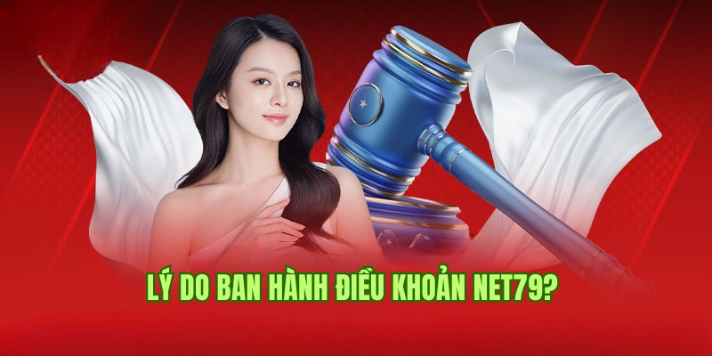 Lý do Net79 ban hành nội dung điều khoản chặt chẽ